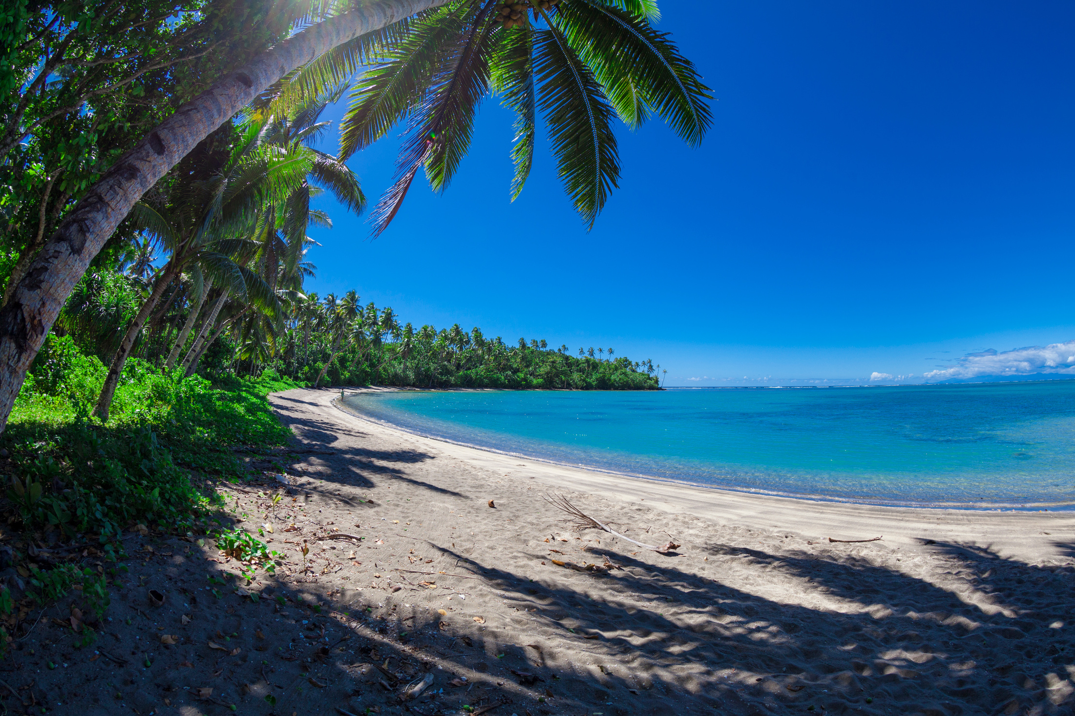 Tropical Samoa